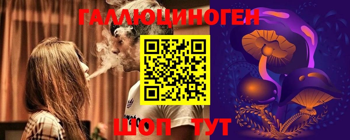 Галлюциногенные грибы Psilocybe  Псилоцибиновые грибы MAGIC MUSHROOMS  Качканар  Вход с VPN 